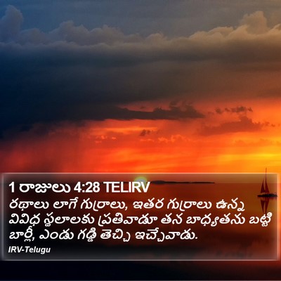 1 రాజులు 4:28 TELIRV Bible Verse Image
