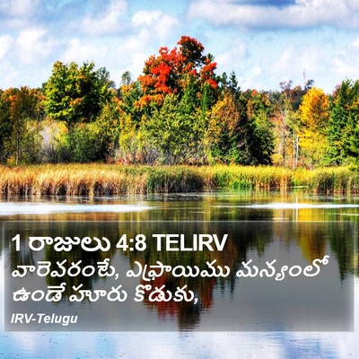 1 రాజులు 4:8 TELIRV Bible Verse Image