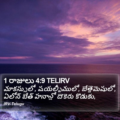 1 రాజులు 4:9 TELIRV Bible Verse Image