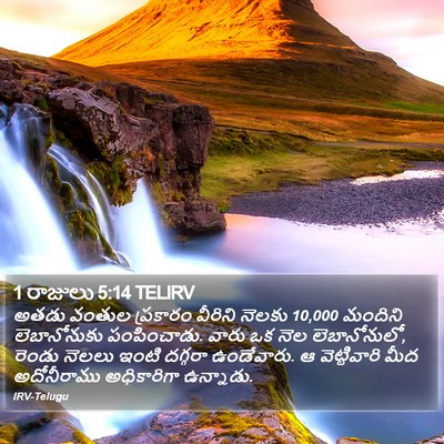 1 రాజులు 5:14 TELIRV Bible Verse Image