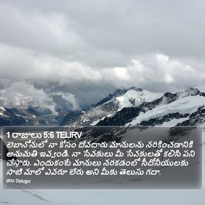1 రాజులు 5:6 TELIRV Bible Verse Image