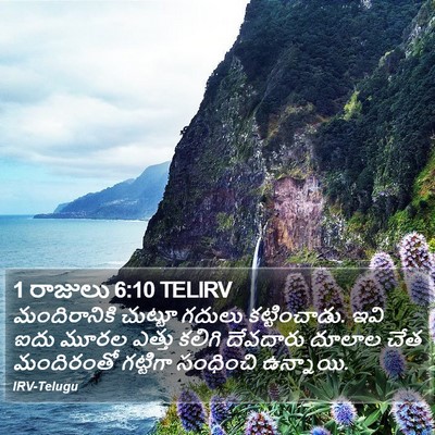 1 రాజులు 6:10 TELIRV Bible Verse Image