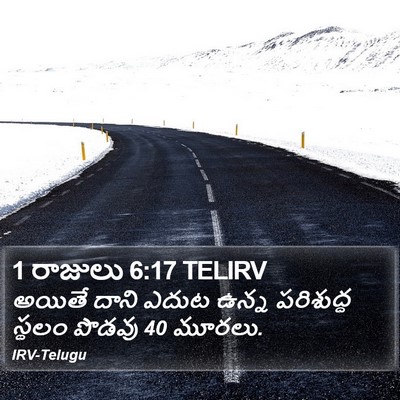 1 రాజులు 6:17 TELIRV Bible Verse Image