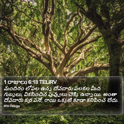 1 రాజులు 6:18 TELIRV Bible Verse Image