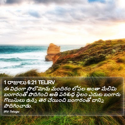 1 రాజులు 6:21 TELIRV Bible Verse Image