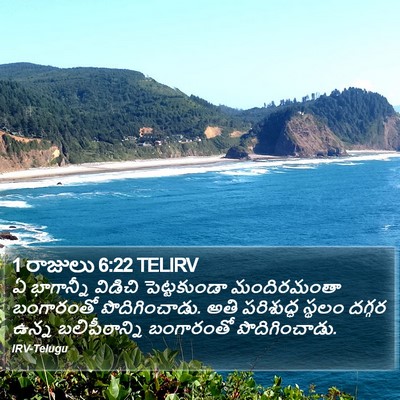 1 రాజులు 6:22 TELIRV Bible Verse Image
