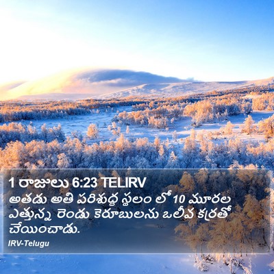 1 రాజులు 6:23 TELIRV Bible Verse Image