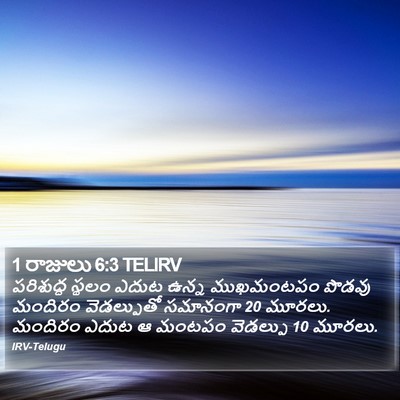 1 రాజులు 6:3 TELIRV Bible Verse Image