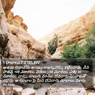 1 రాజులు 7:2 TELIRV Bible Verse Image