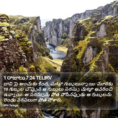 1 రాజులు 7:24 TELIRV Bible Verse Image