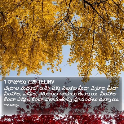 1 రాజులు 7:29 TELIRV Bible Verse Image