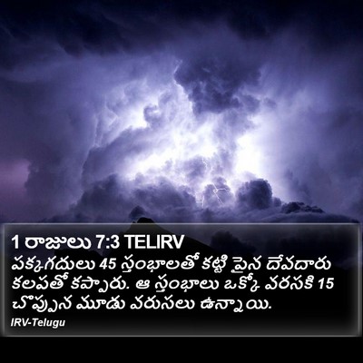 1 రాజులు 7:3 TELIRV Bible Verse Image