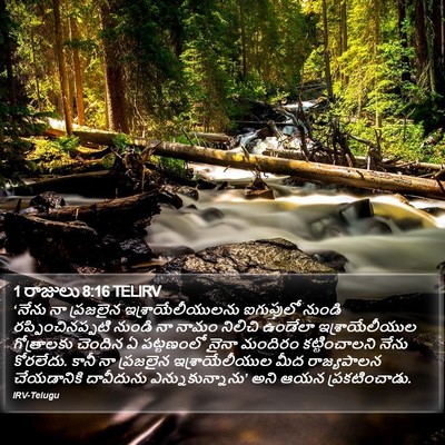 1 రాజులు 8:16 TELIRV Bible Verse Image