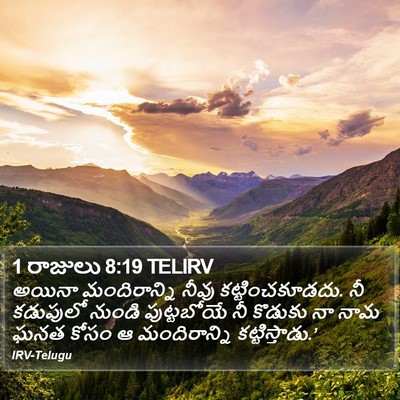 1 రాజులు 8:19 TELIRV Bible Verse Image