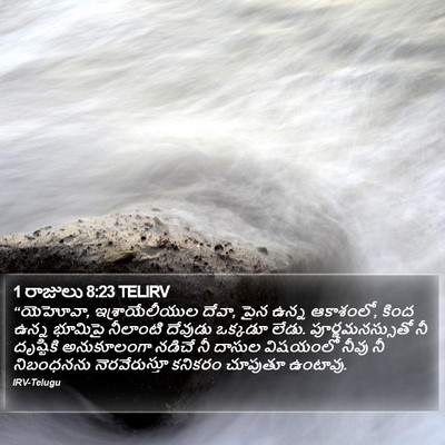 1 రాజులు 8:23 TELIRV Bible Verse Image