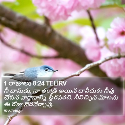 1 రాజులు 8:24 TELIRV Bible Verse Image