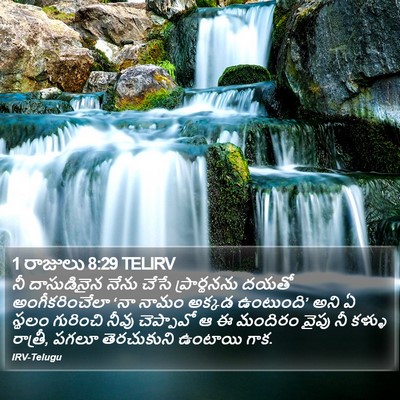 1 రాజులు 8:29 TELIRV Bible Verse Image