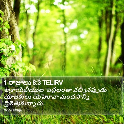 1 రాజులు 8:3 TELIRV Bible Verse Image