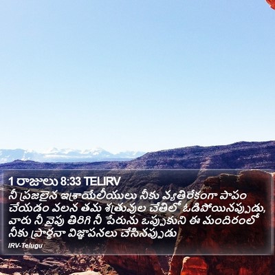 1 రాజులు 8:33 TELIRV Bible Verse Image