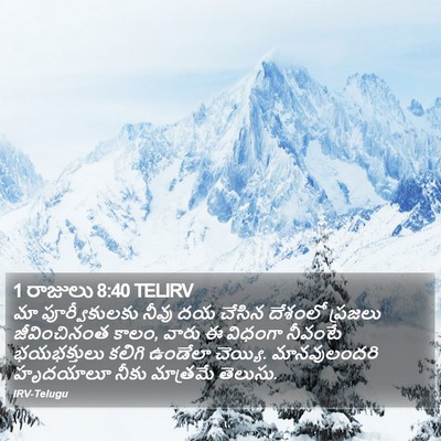 1 రాజులు 8:40 TELIRV Bible Verse Image