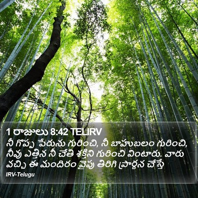 1 రాజులు 8:42 TELIRV Bible Verse Image