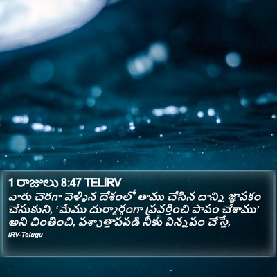 1 రాజులు 8:47 TELIRV Bible Verse Image