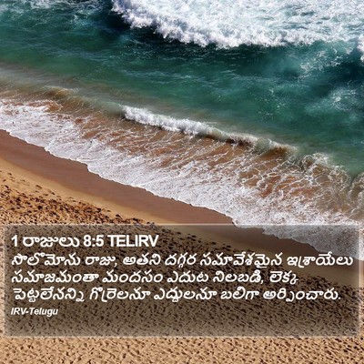 1 రాజులు 8:5 TELIRV Bible Verse Image
