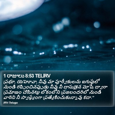 1 రాజులు 8:53 TELIRV Bible Verse Image