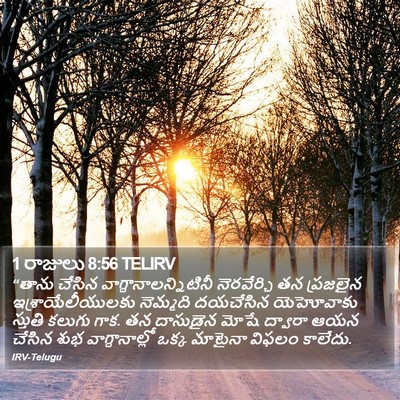 1 రాజులు 8:56 TELIRV Bible Verse Image