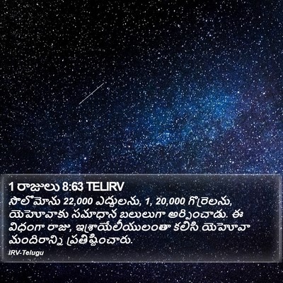 1 రాజులు 8:63 TELIRV Bible Verse Image
