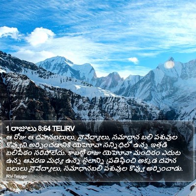 1 రాజులు 8:64 TELIRV Bible Verse Image