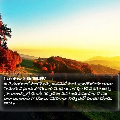 1 రాజులు 8:65 TELIRV Bible Verse Image