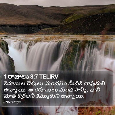 1 రాజులు 8:7 TELIRV Bible Verse Image