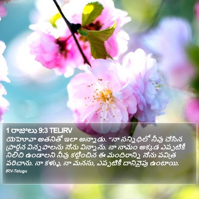 1 రాజులు 9:3 TELIRV Bible Verse Image