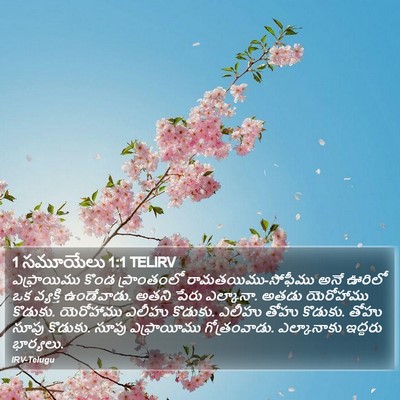 1 సమూయేలు 1:1 TELIRV Bible Verse Image