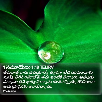 1 సమూయేలు 1:19 TELIRV Bible Verse Image
