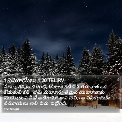 1 సమూయేలు 1:20 TELIRV Bible Verse Image