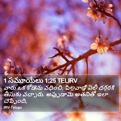 1 సమూయేలు 1:25 TELIRV Bible Verse Image