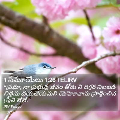 1 సమూయేలు 1:26 TELIRV Bible Verse Image