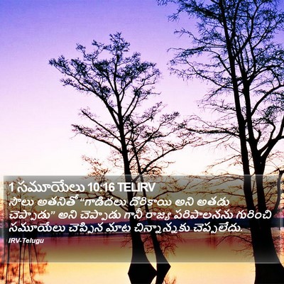 1 సమూయేలు 10:16 TELIRV Bible Verse Image