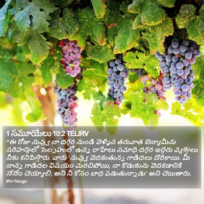 1 సమూయేలు 10:2 TELIRV Bible Verse Image