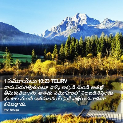1 సమూయేలు 10:23 TELIRV Bible Verse Image