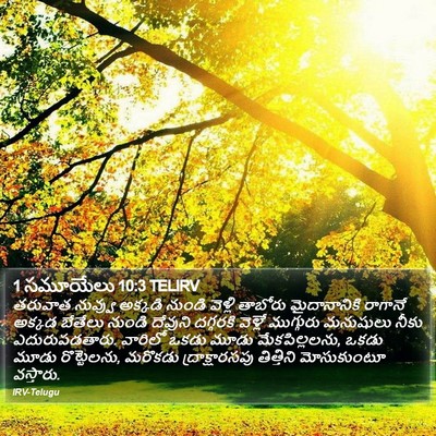 1 సమూయేలు 10:3 TELIRV Bible Verse Image