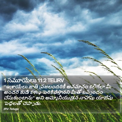 1 సమూయేలు 11:2 TELIRV Bible Verse Image
