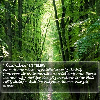 1 సమూయేలు 11:3 TELIRV Bible Verse Image