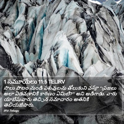 1 సమూయేలు 11:5 TELIRV Bible Verse Image