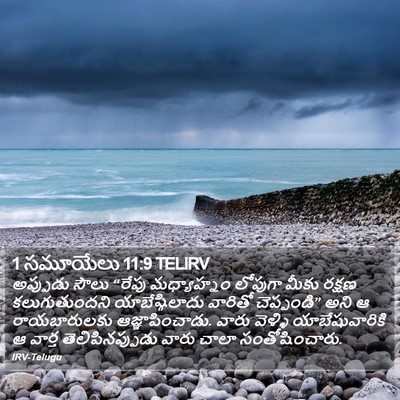 1 సమూయేలు 11:9 TELIRV Bible Verse Image