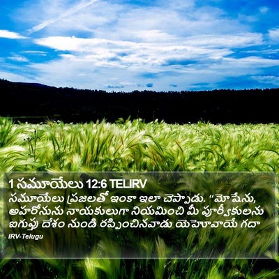 1 సమూయేలు 12:6 TELIRV Bible Verse Image