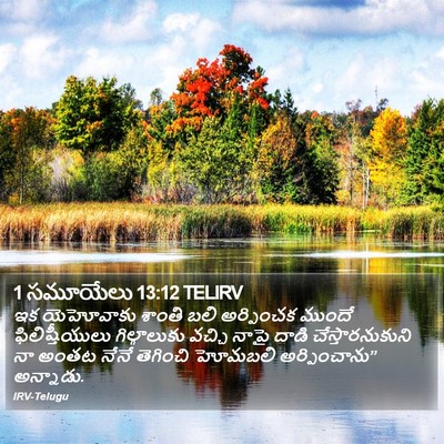 1 సమూయేలు 13:12 TELIRV Bible Verse Image