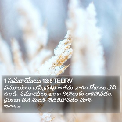 1 సమూయేలు 13:8 TELIRV Bible Verse Image